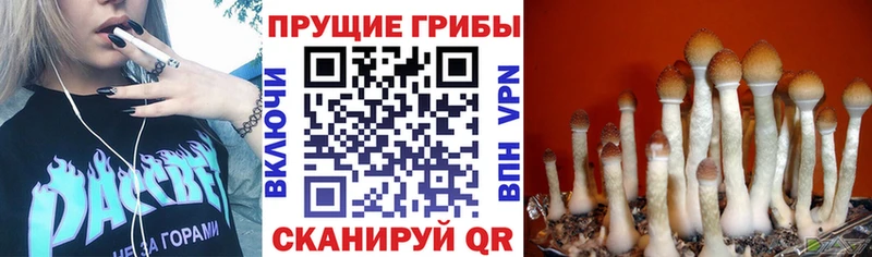 Псилоцибиновые грибы ЛСД  как найти   Енисейск 